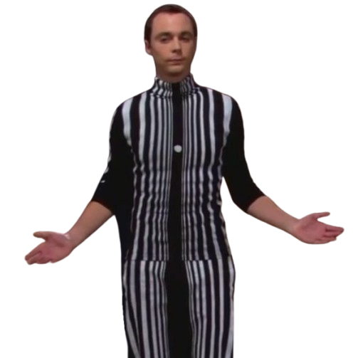 Sheldon dans une combinaison rayée noir et blanche